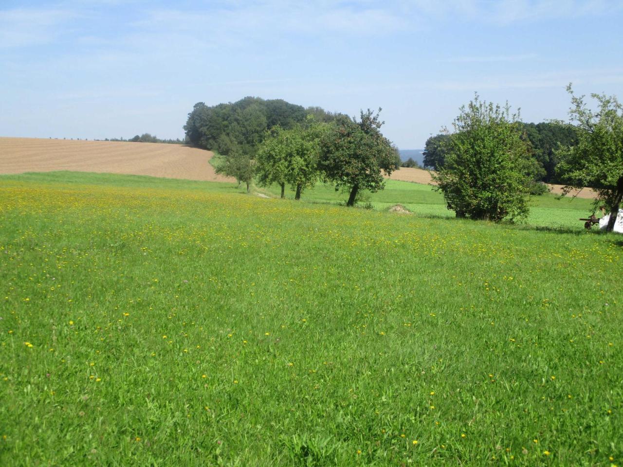 Blumenschein-Ferienwohnung Unne Kirchzell Exterior photo